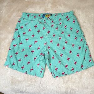 Surf Society Aqua Flamingo Swimwear